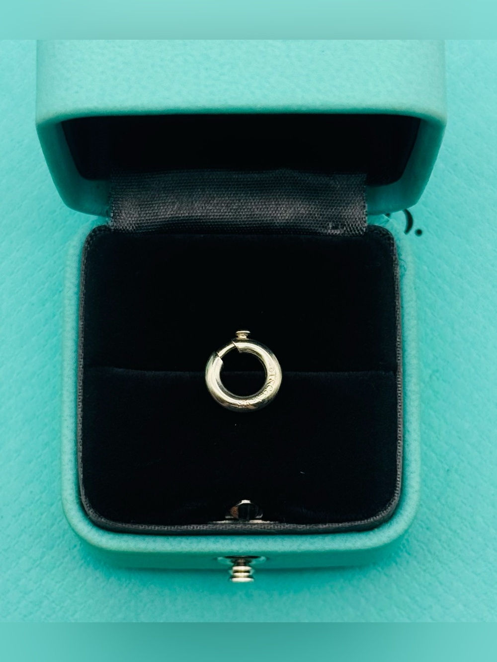 Tiffany & Co Retired sterling silver Round clasping link